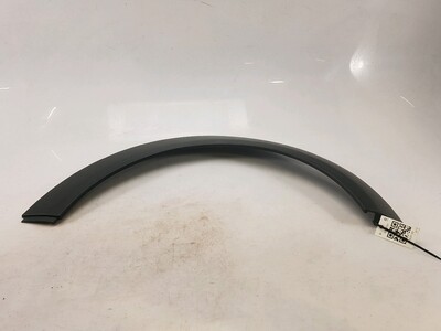 51777216069 Mini MINI