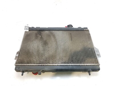 2531017610 Hyundai MATRIX