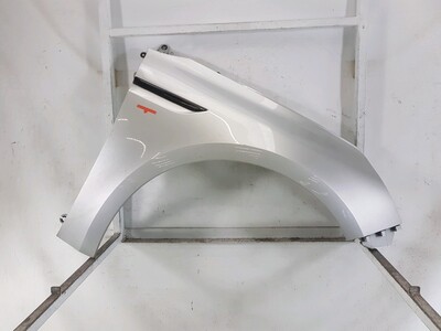 Right front fender - 631001203R