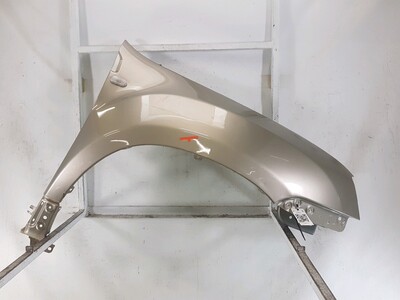 Right front fender - 631007297R