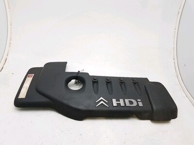 0137 42 Peugeot 1007