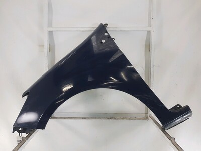 Left front fender