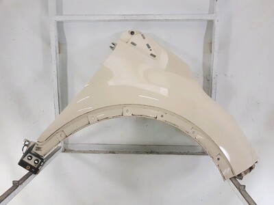 Right front fender - 631005737R