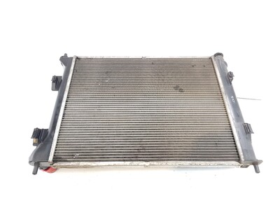 253101P600 KIA VENGA