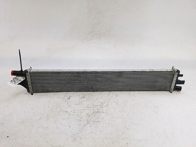 214C10001R Opel MOVANO
