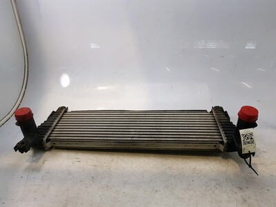 2036401 Ford RANGER PICK-UP
