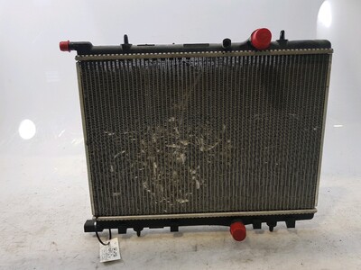 1333 15 Peugeot Citroen 307 XSARA