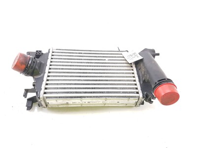 213055917R Renault Dacia CLIO JOGGER