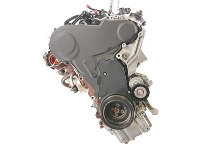 CFFF Volkswagen BEETLE