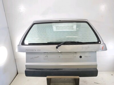 00008701E6 Citroen ZX