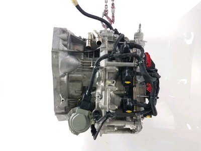 DW5007-9256R Renault CAPTUR