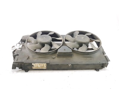 00001253H9 Peugeot 306
