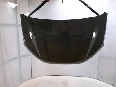 651004113R Dacia JOGGER SANDERO