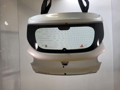 901008970R Dacia SPRING