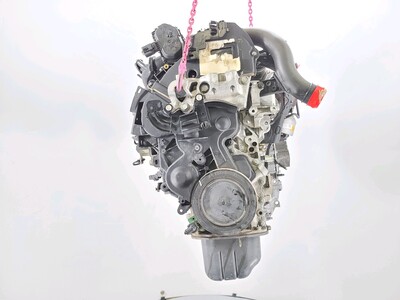 XXDC Ford FOCUS
