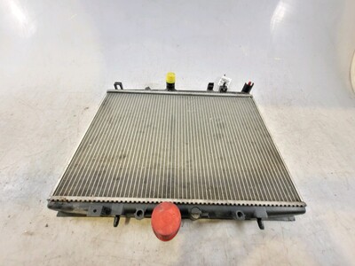 0000133063 Citroen Peugeot C5 406