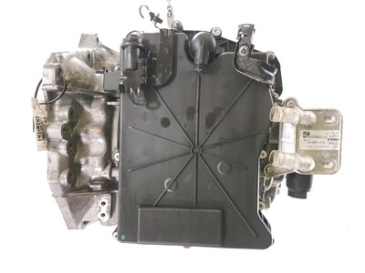 DW6005-4774R Renault GRAND SCENIC