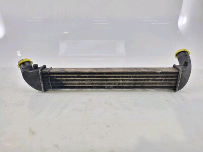 8200742599 Renault CLIO CLIO CAMPUS