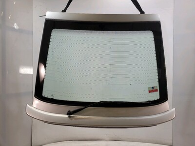 7751467296 Renault R21