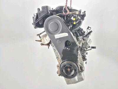BFS Volkswagen NEW BEETLE