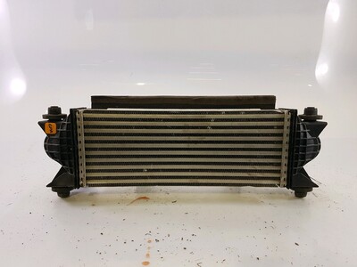 2588431 Ford RANGER