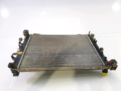 214106666R Renault CAPTUR CLIO