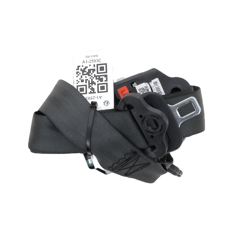 888852882R Dacia SPRING