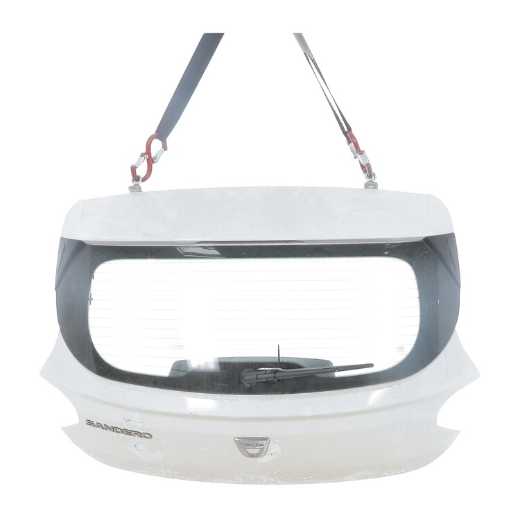 901006055R Dacia SANDERO