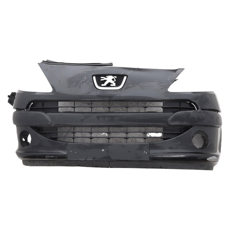 7401 GK Peugeot 1007