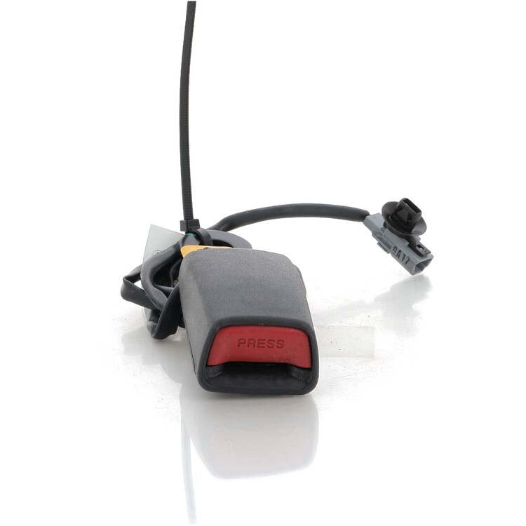 868421422R Dacia SPRING