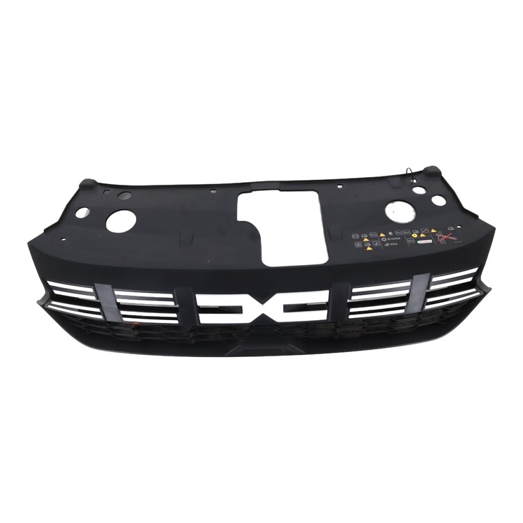 622545391R Dacia SANDERO