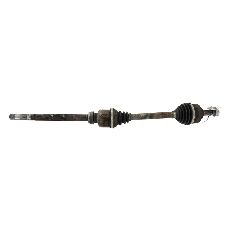 1401069988 Lancia PHEDRA