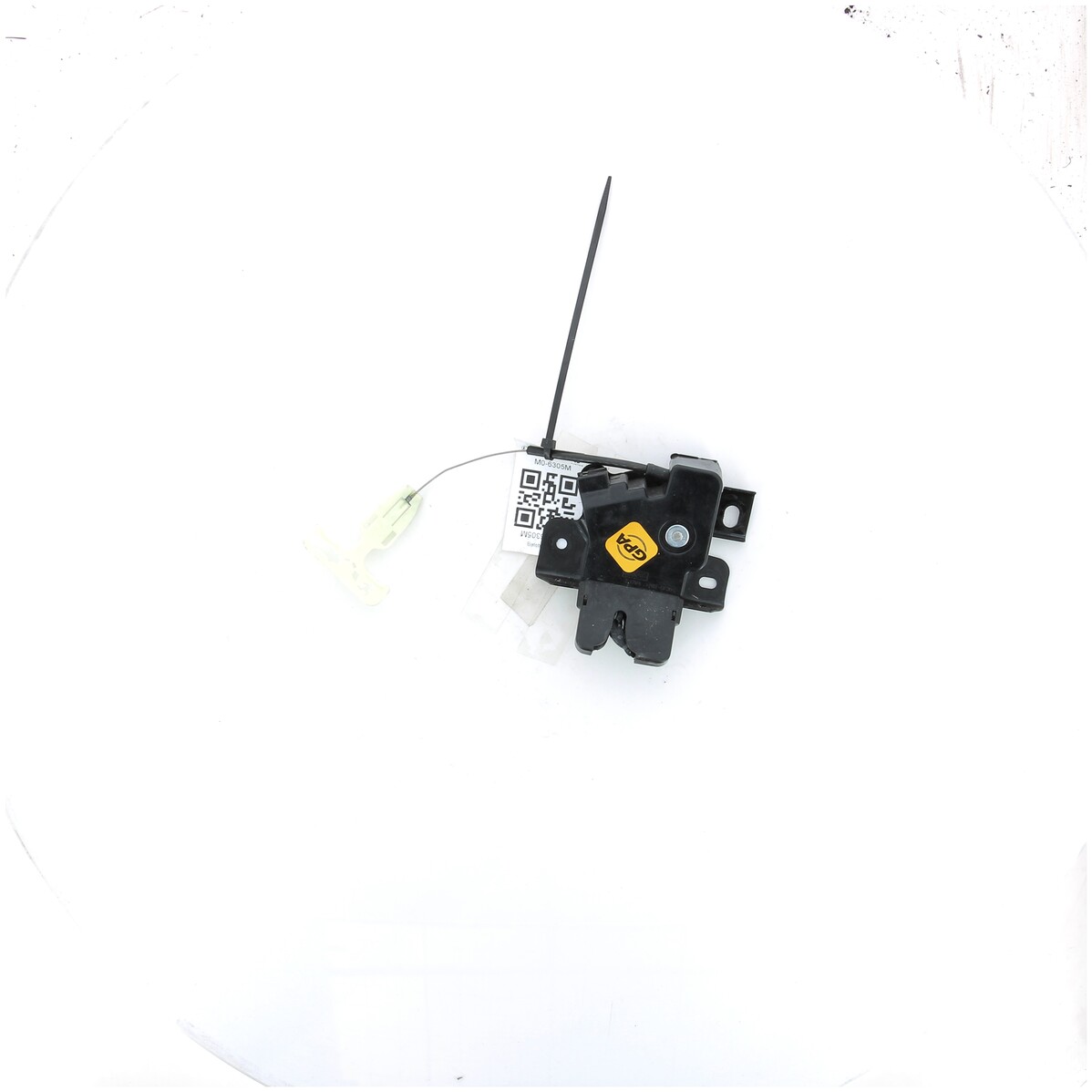 GPA-24-0028559 Ford MUSTANG