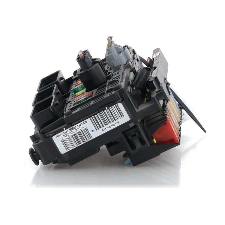 9656005580 Peugeot 407 407 SW