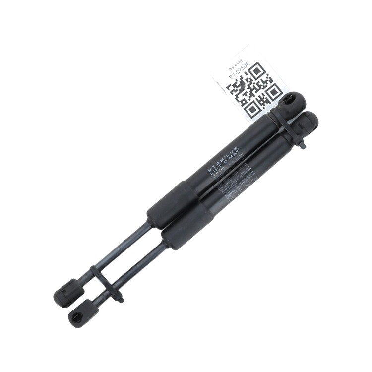 1692576-00-A TESLA MODEL Y