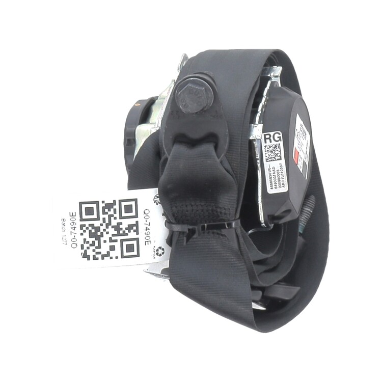 868858301R Dacia SANDERO