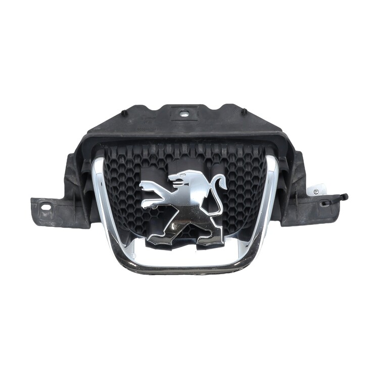 00007810P0 Peugeot 407