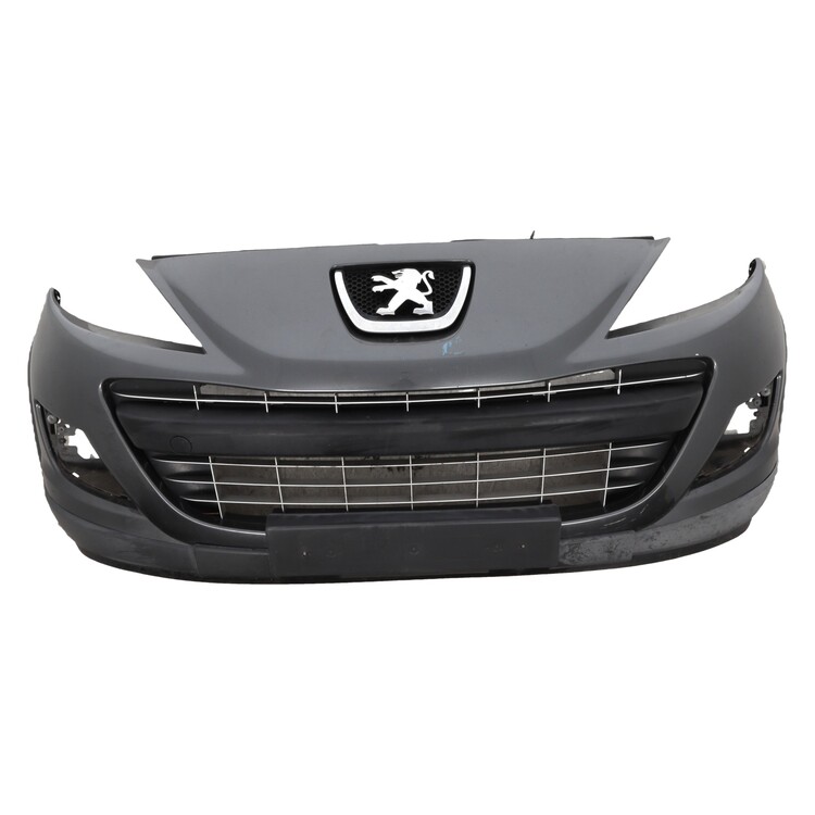 7401 SR Peugeot 207 SW